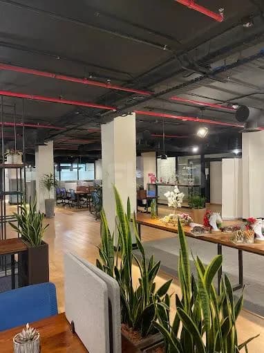 Open-plan meeting room at Basix Coworking Space Jeddah featuring exposed ceiling pipes with red accents and potted snake
