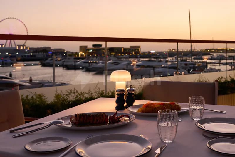 Rooftop terrace at L’Amo Bistro Del Mare in Dubai with a marina view and plated grilled lobster