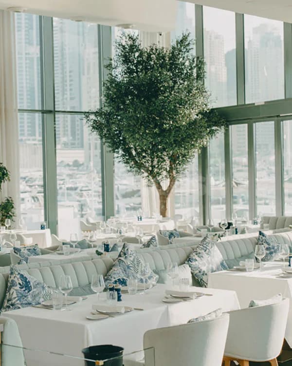 Restaurant interior at L’Amo Bistro Del Mare in Dubai featuring a large indoor tree and floor-to-ceiling windows