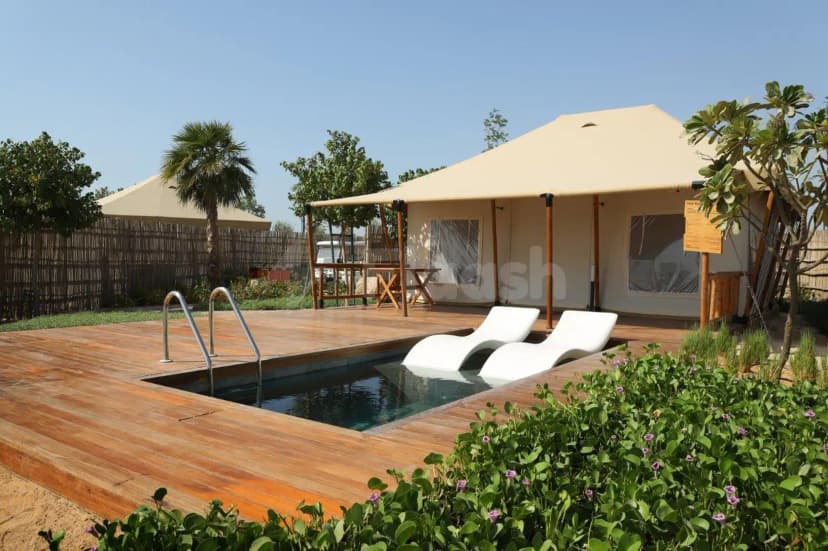 Rectangular pool at Bab Al Nojoum Hudayriyat Camp in Abu Dhabi with wooden deck and beige canvas tent