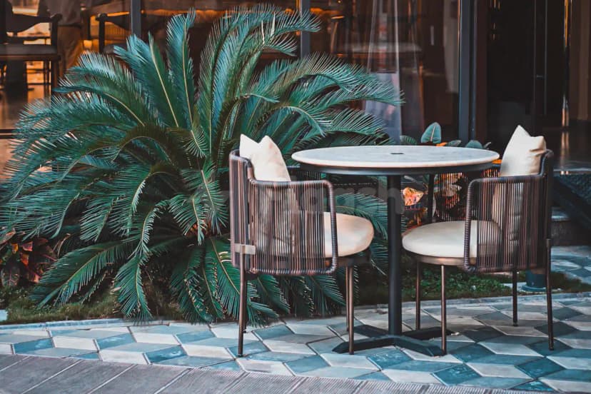 Rooftop terrace at Agape Restaurant & Cafe Taif in Taif with large palm plant