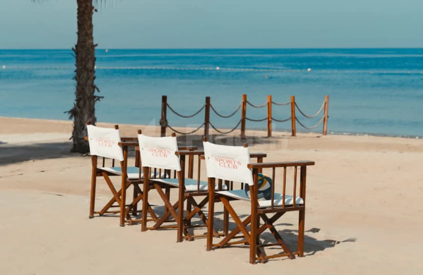 Beach at La Cantine Beach Dubai with wooden director chairs featuring logo backrests, a volleyball, and a palm