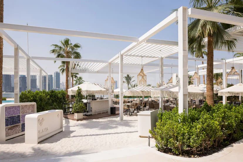 Rooftop terrace at Playa Dubai featuring a white pergola structure, white sand floor, green shrubs, palm trees