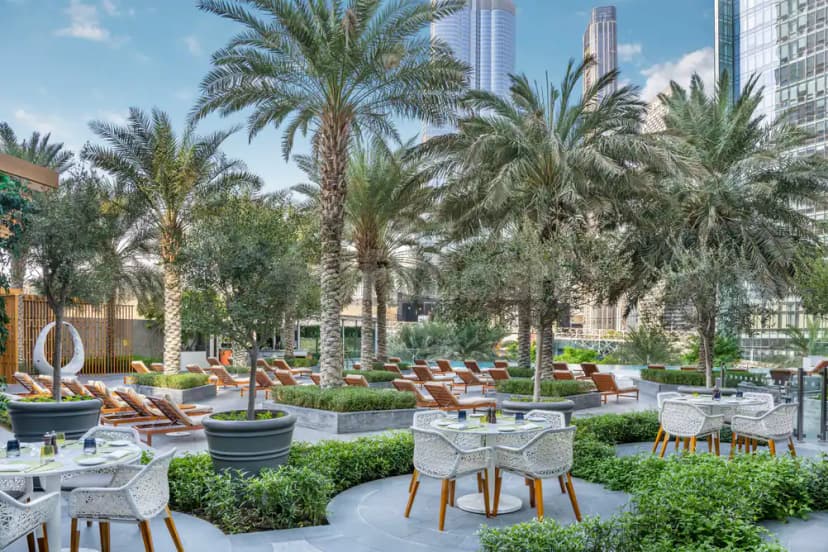 Rooftop terrace at La Brasserie Sur Le Boulevard in Dubai with palm trees, olive trees, and modern skyscrapers