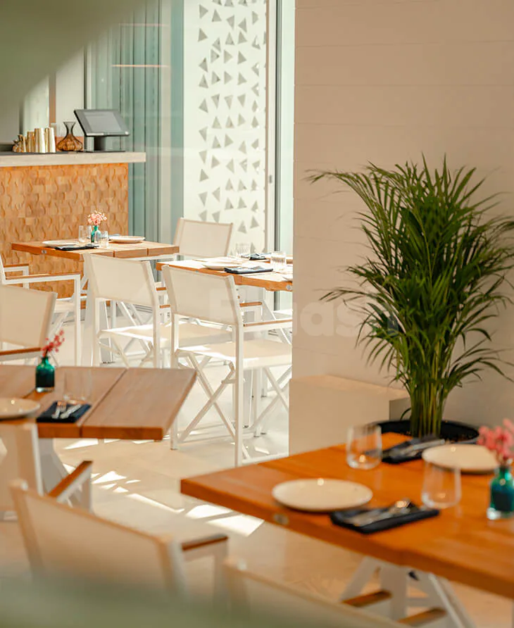 Restaurant at Cove Beach Dubai featuring wooden tables, white folding chairs, a green potted plant, and a geometric