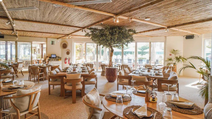 Peaches & Cream Beach Restaurant Dubai features a thatched ceiling with bamboo beams and a central olive tree