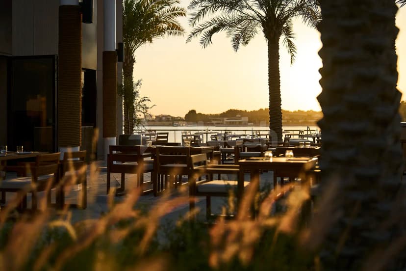 Rooftop terrace at Ergon Deli & Cafe Abu Dhabi featuring palm trees, rope-wrapped columns, and a waterfront view