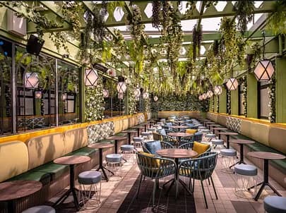 Indoor dining area at Swingers The Crazy Golf Club Dubai featuring hanging green plants and a glass roof