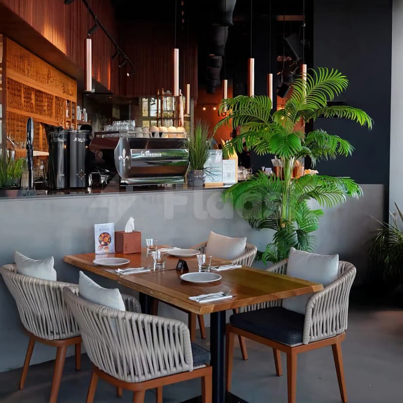Modern dining area at Tazal Restaurant Abu Dhabi with a large green palm plant