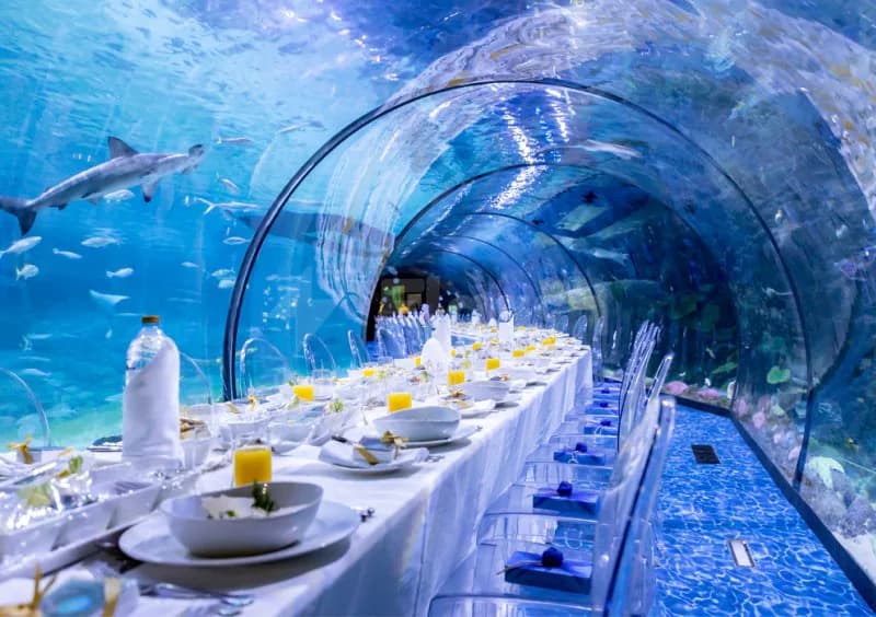 Underwater dining tunnel at Al Qana in Abu Dhabi with a long table, glass walls, and swimming sharks