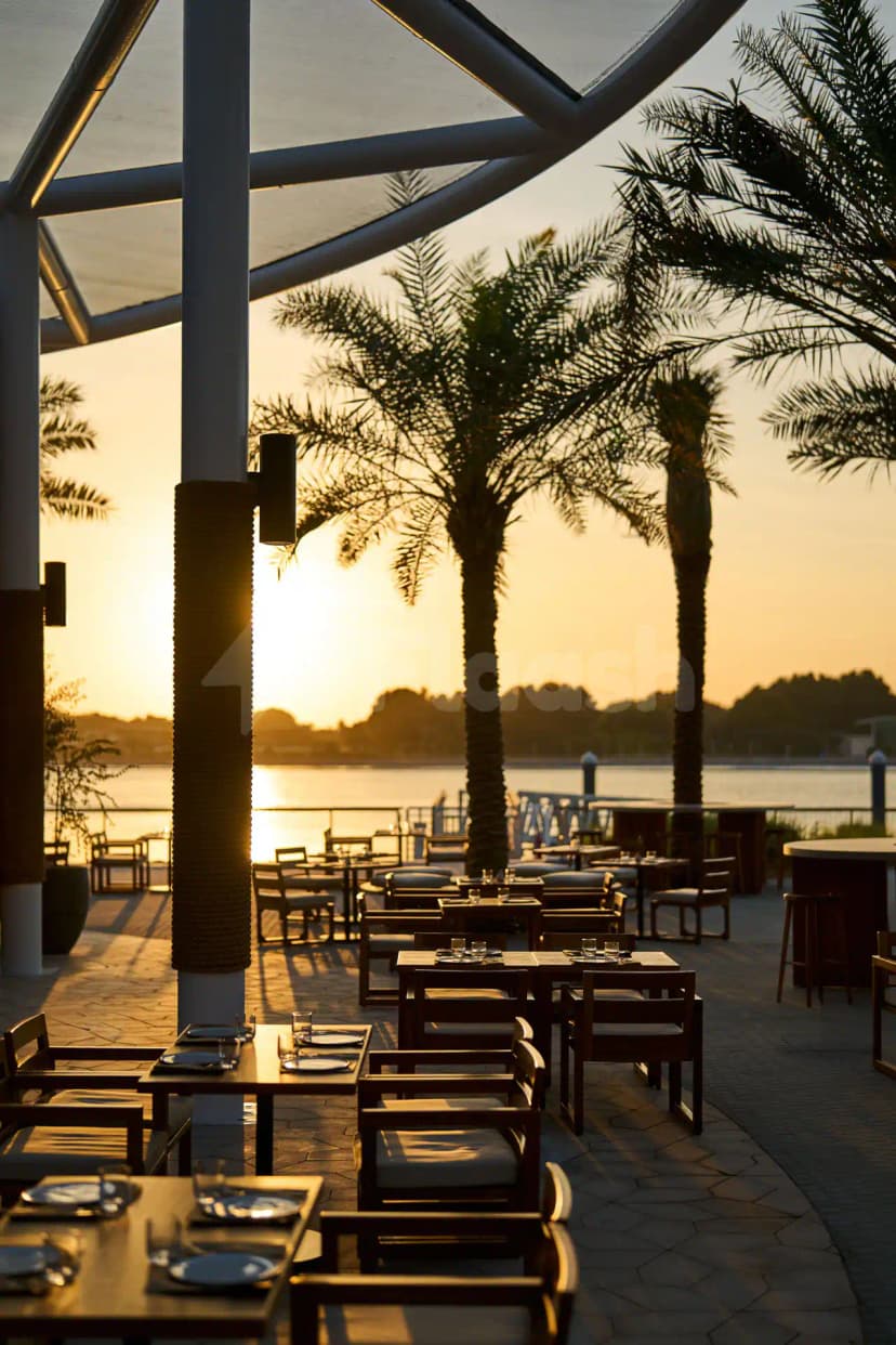 Rooftop terrace at Ergon Deli & Cafe Abu Dhabi with palm trees and sunset water view
