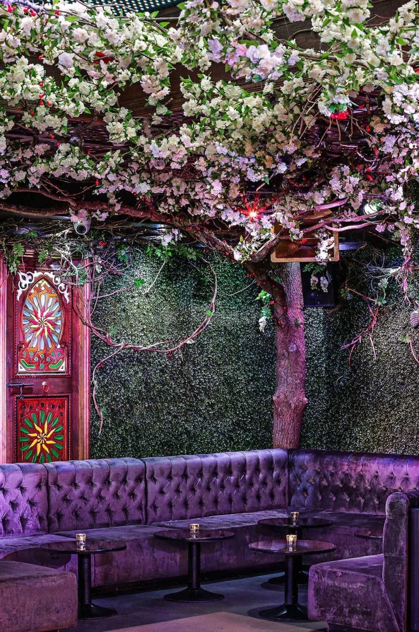The Cuckoo Club — photo 4