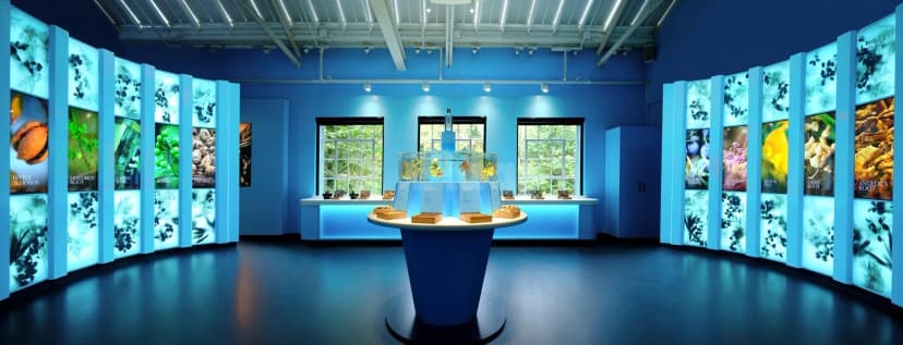 Bombay Sapphire Distillery — photo 3