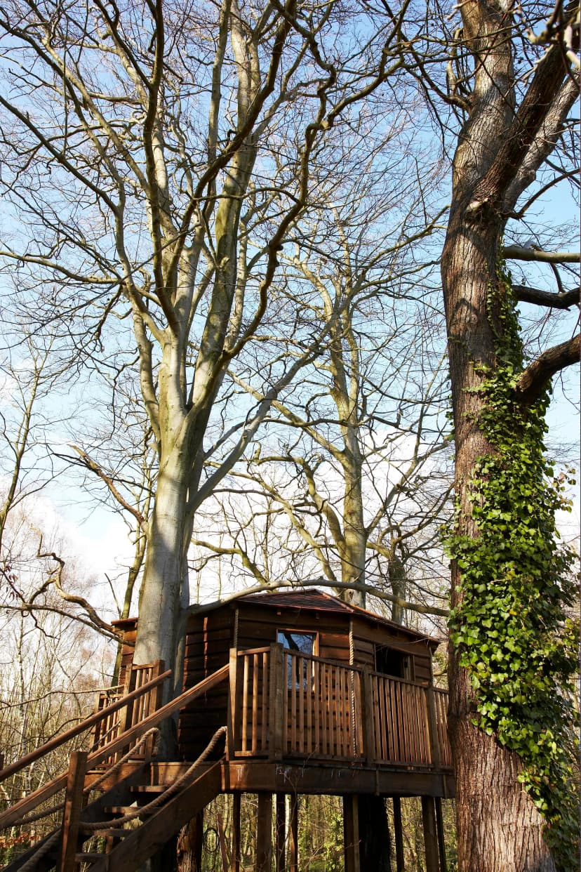 New Place Hotel - Hampshire — photo 5