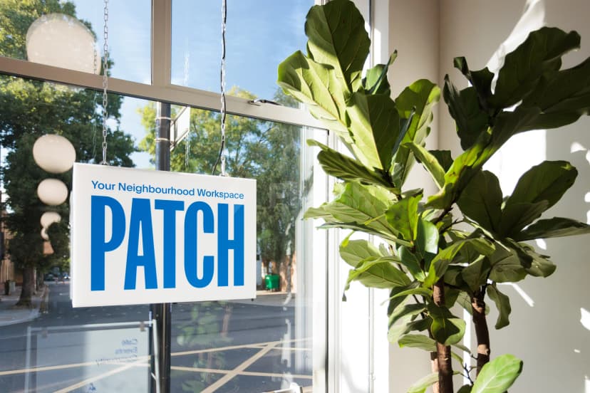Patch Twickenham — photo 2