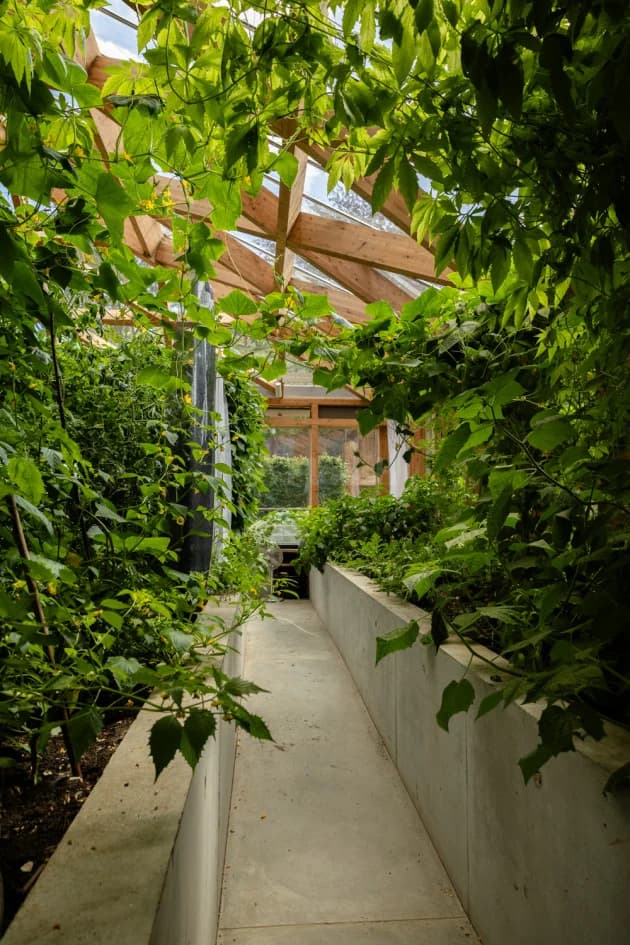 OmVed Gardens — photo 5