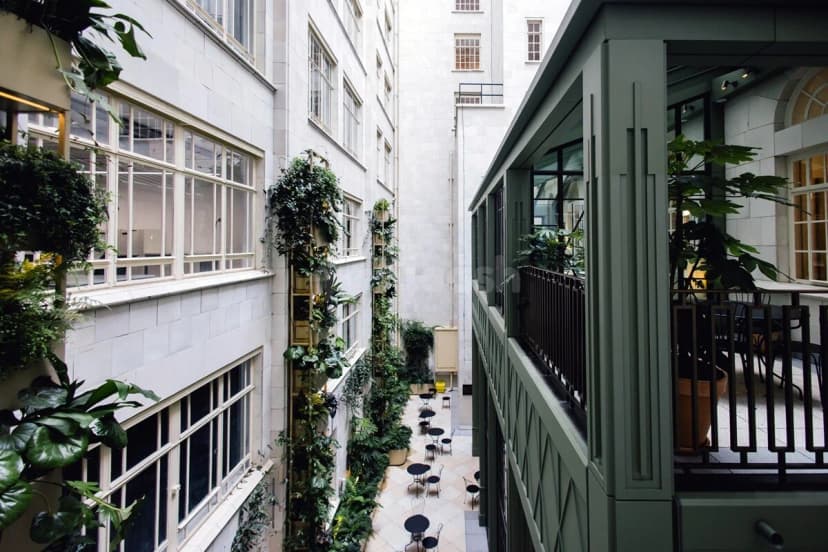 Orega - Eighty Strand — photo 4