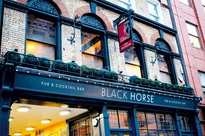 The Black Horse — photo 5