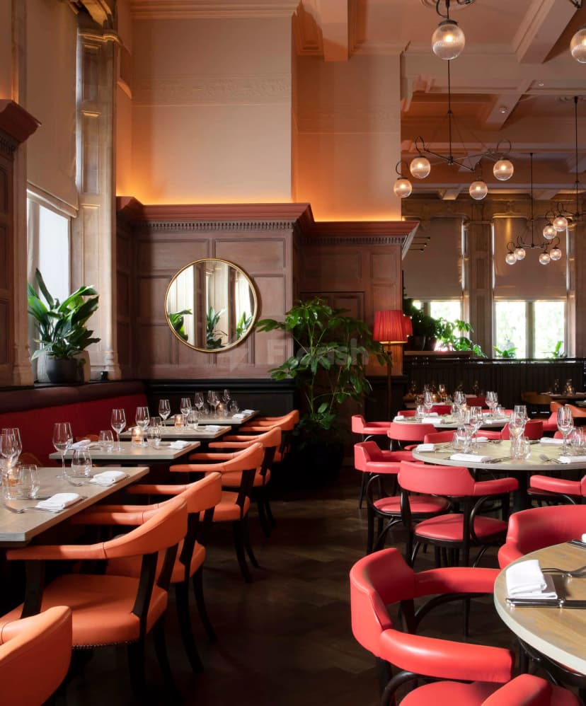 Zaika of Kensington — photo 3