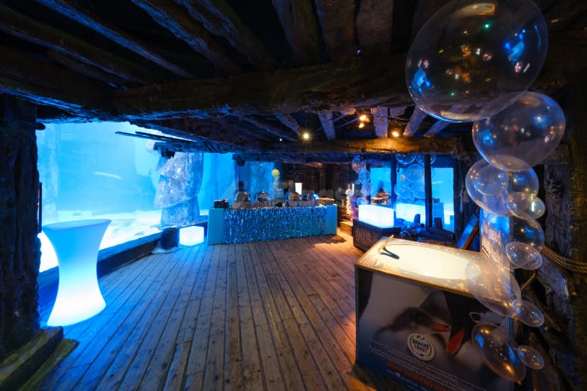 Sea Life London Aquarium — photo 5