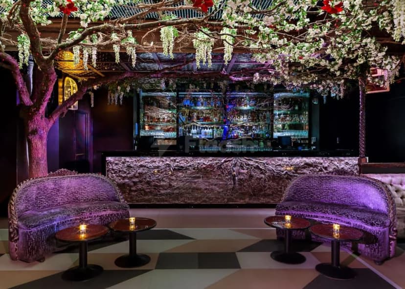 The Cuckoo Club — photo 5