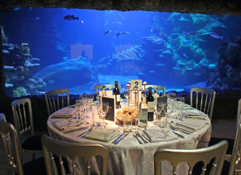 Sea Life London Aquarium — photo 1