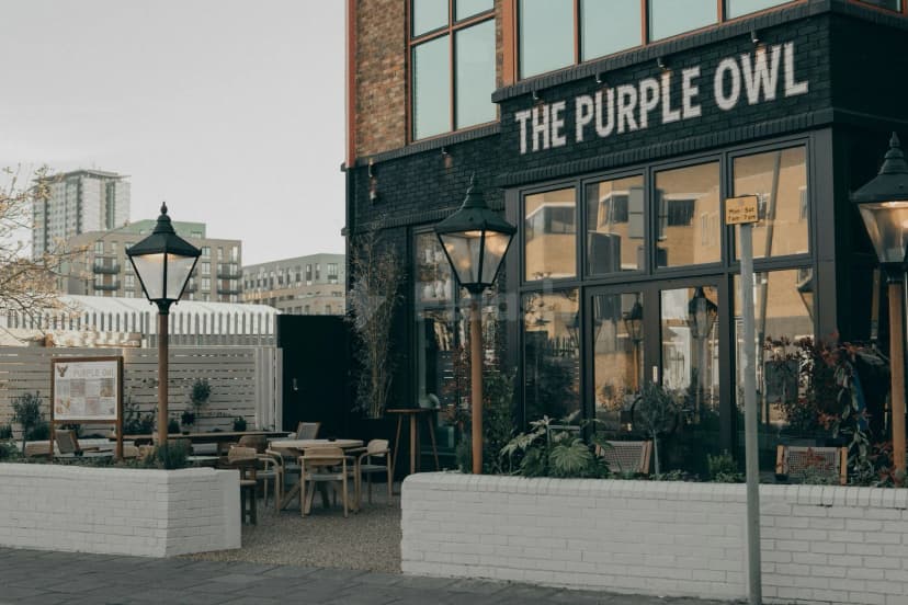 The Purple Owl — photo 5