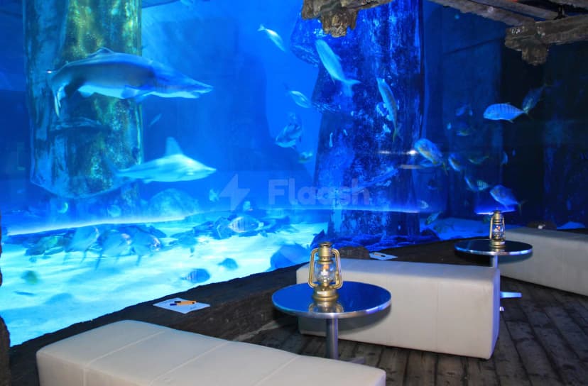 Sea Life London Aquarium — photo 4