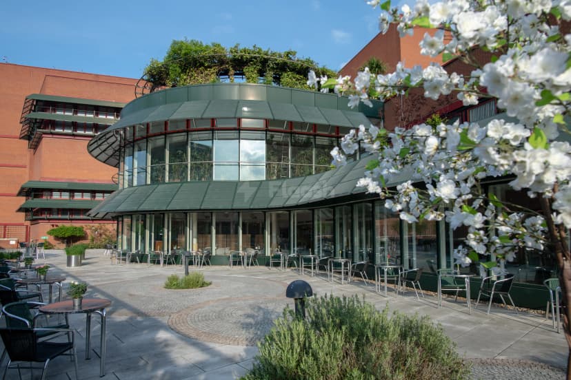 British Library — photo 4