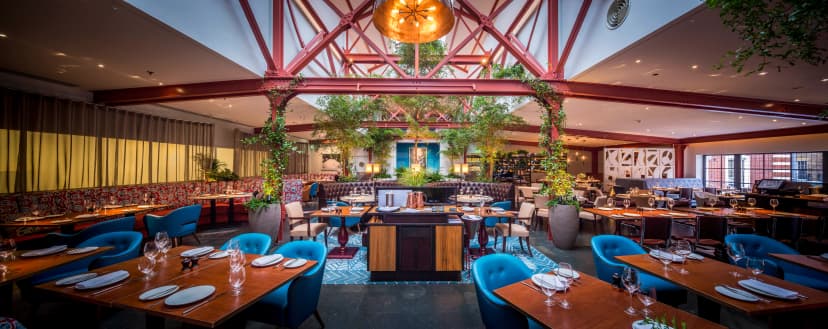 Bluebird Chelsea — photo 1