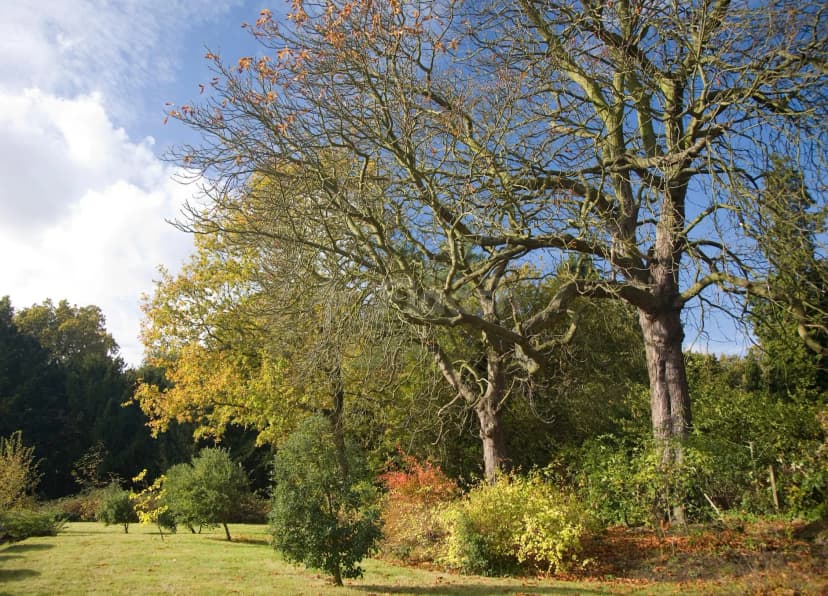 Airivo Chislehurst — photo 4