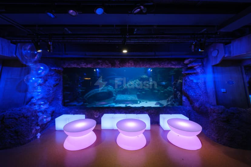 Sea Life London Aquarium — photo 3