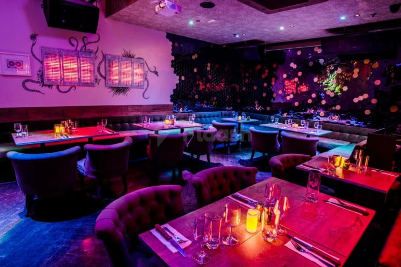 Chinawhite — photo 2