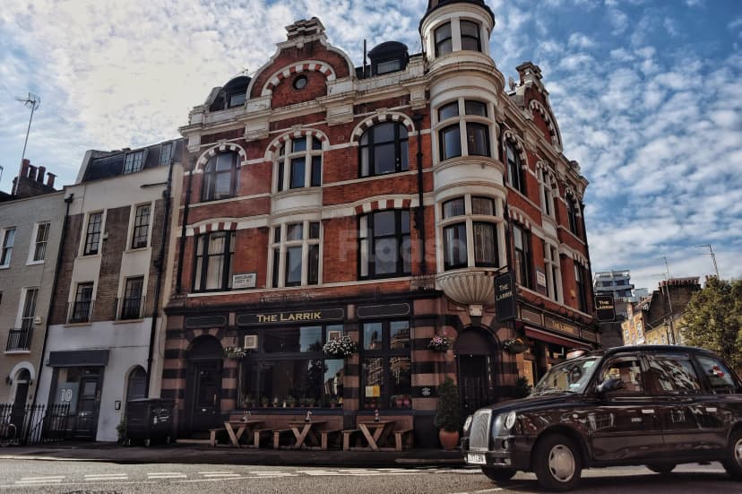 The Larrik — photo 4