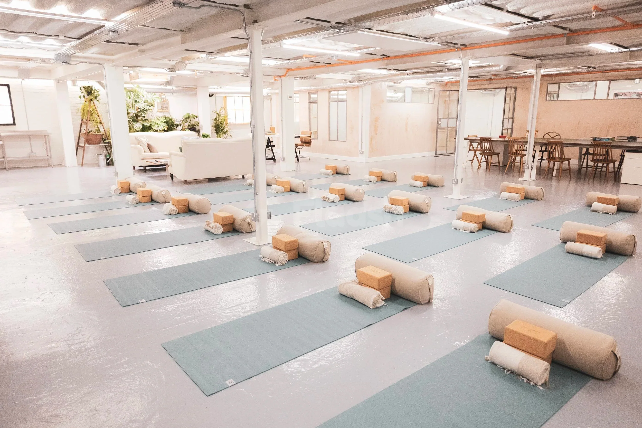 Multi-Purpose Wellness Studio — photo 1
