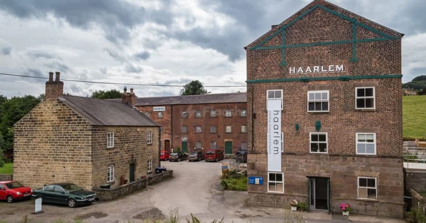 Haarlem Mill — photo 1