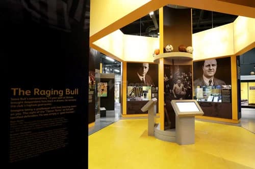 Molineux Stadium — photo 4