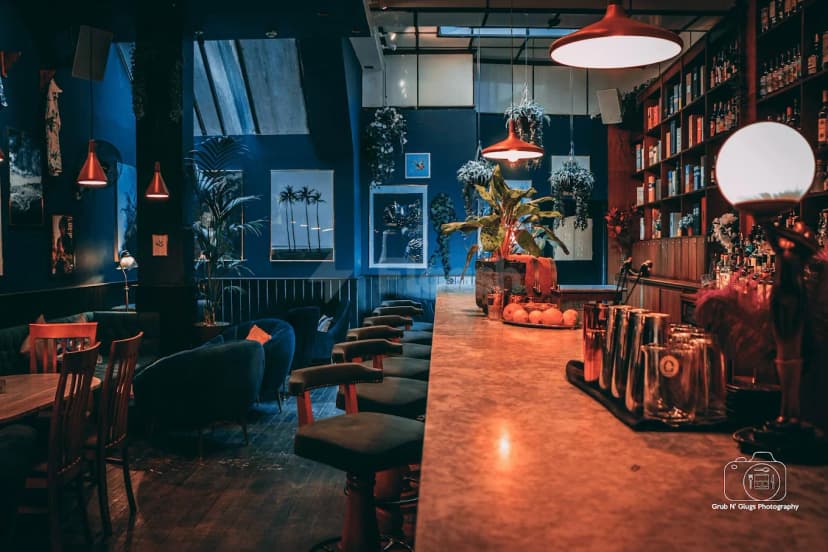Black Parrot Bar — photo 1