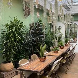 The Clifton Nursery — photo 3