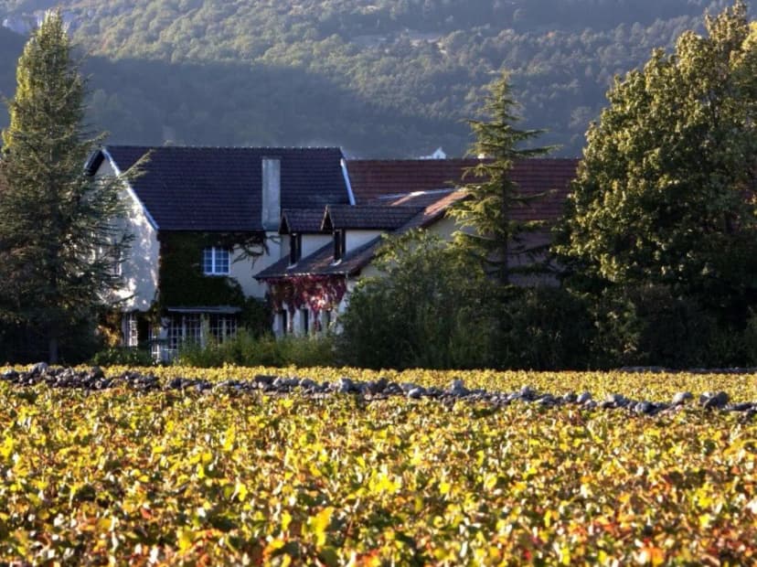 Logis Hôtel Arts et Terroirs — photo 4