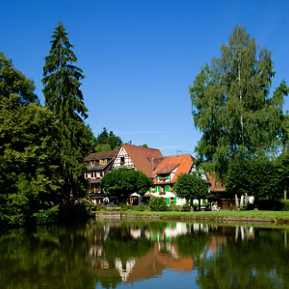 Hotel La Petite Pierre (Auberge d'Imsthal) Vosges, Alsace — photo 4