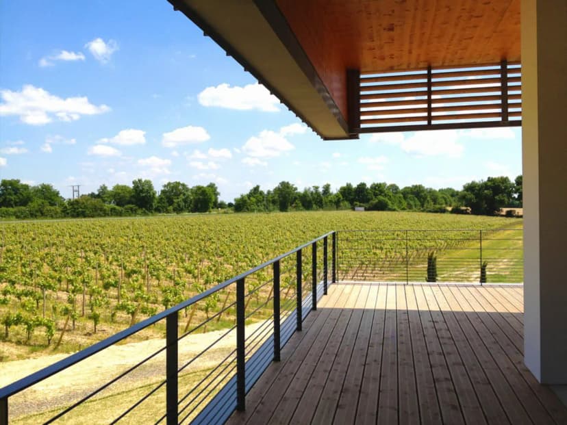 Vignobles Mourat — photo 1