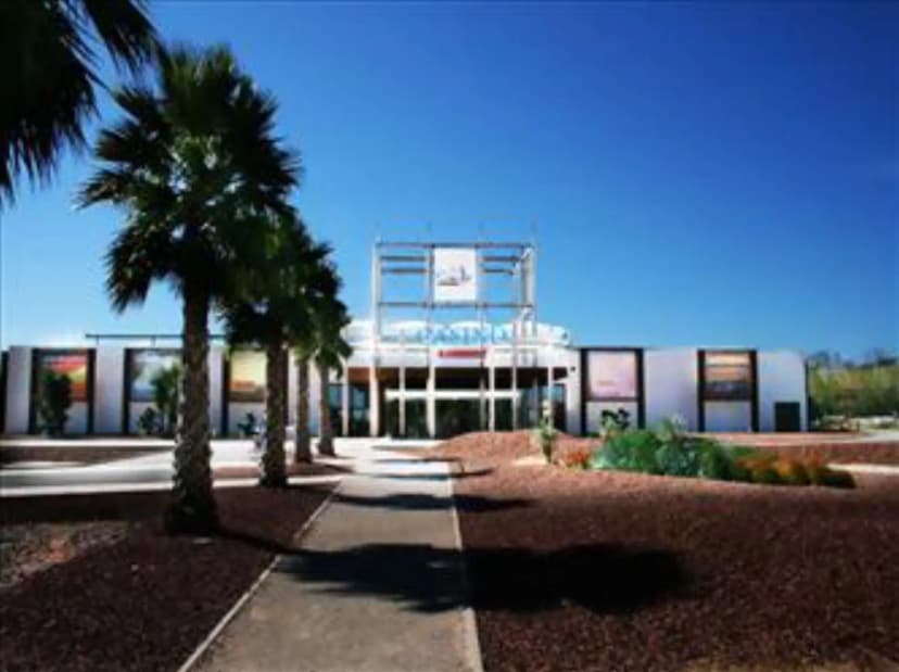 Casino Tranchant Le Grau-du-Roi | Casino Flamingo — photo 4