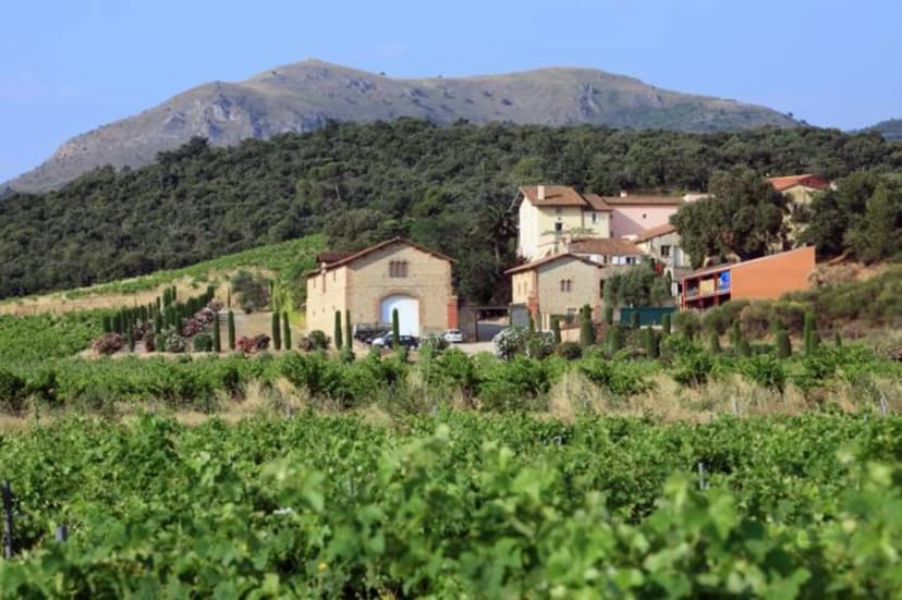 Domaine Bellavista — photo 5