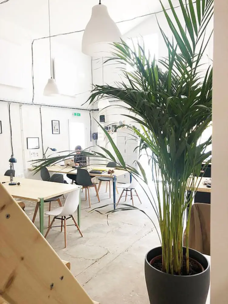 Le Local Coworking — photo 3