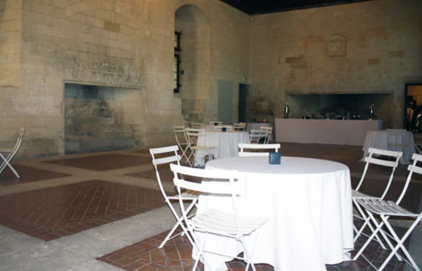 Tarascon Castle — photo 2