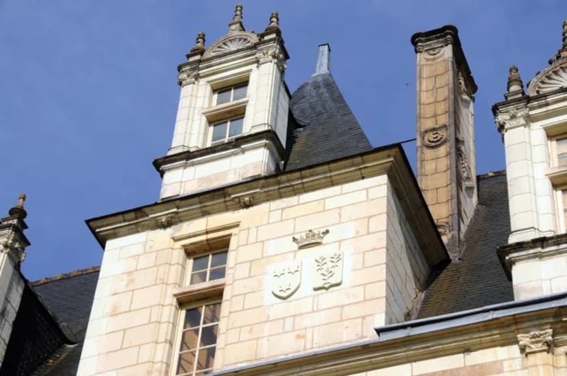 Château de Nitray — photo 5