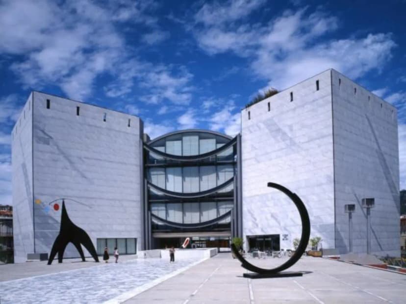 Modern and Contemporary Art Museum (MAMAC) — photo 1