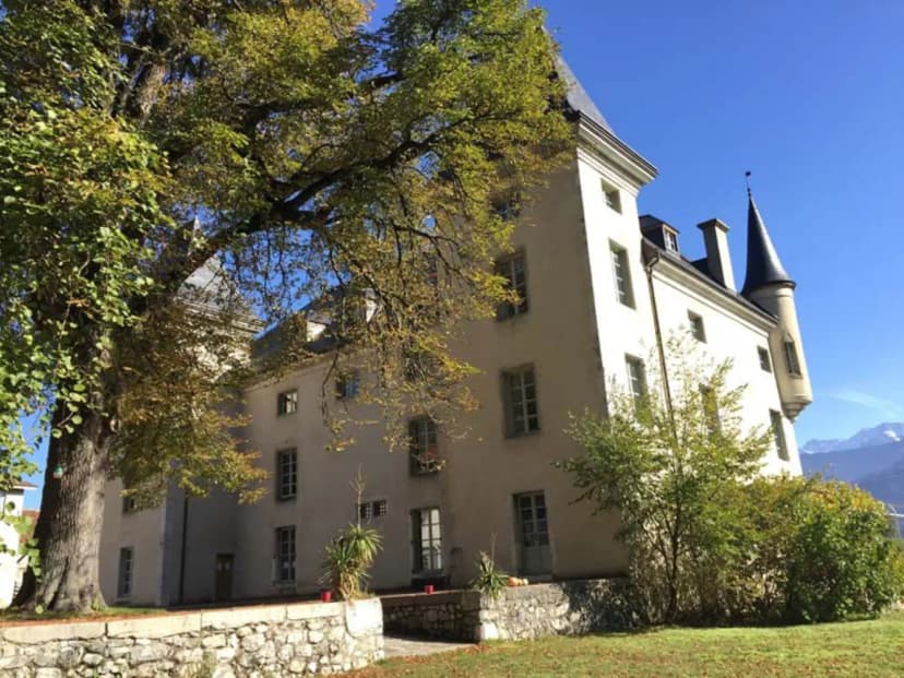 Castle of Montalieu — photo 1