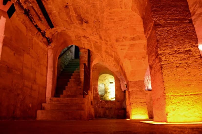 Cave des Bernardins — photo 2